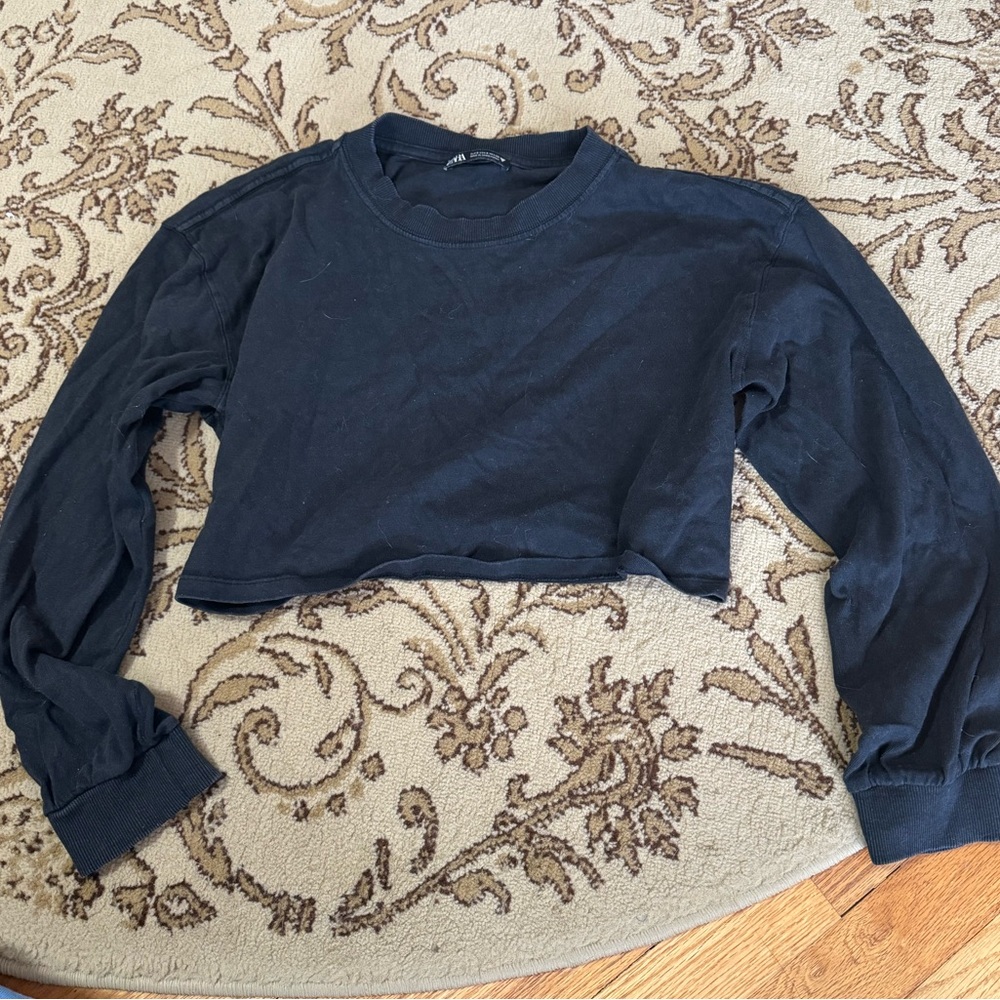 Zara cropped longsleeve